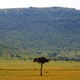 Image for article titled Here's One Way Climate Change Will Make the World Look Different